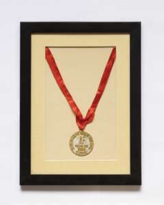 dr nischal chovatiya gold medal